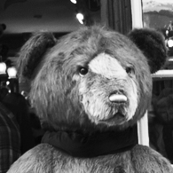 Teddy Bear Tea Room